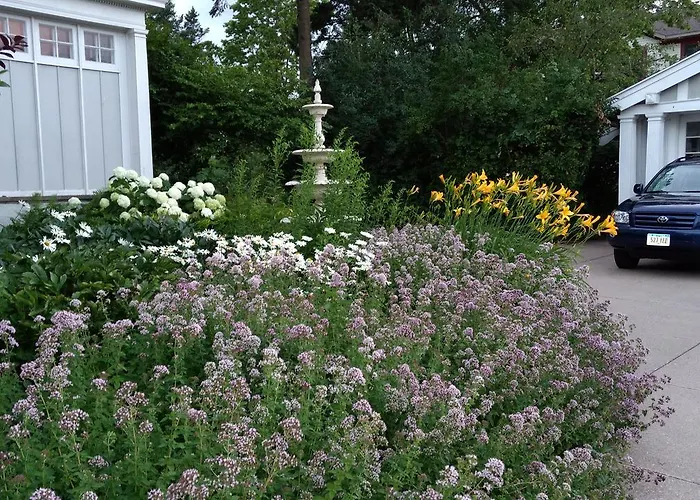 Alexander Mansion Bed And Breakfast Winona